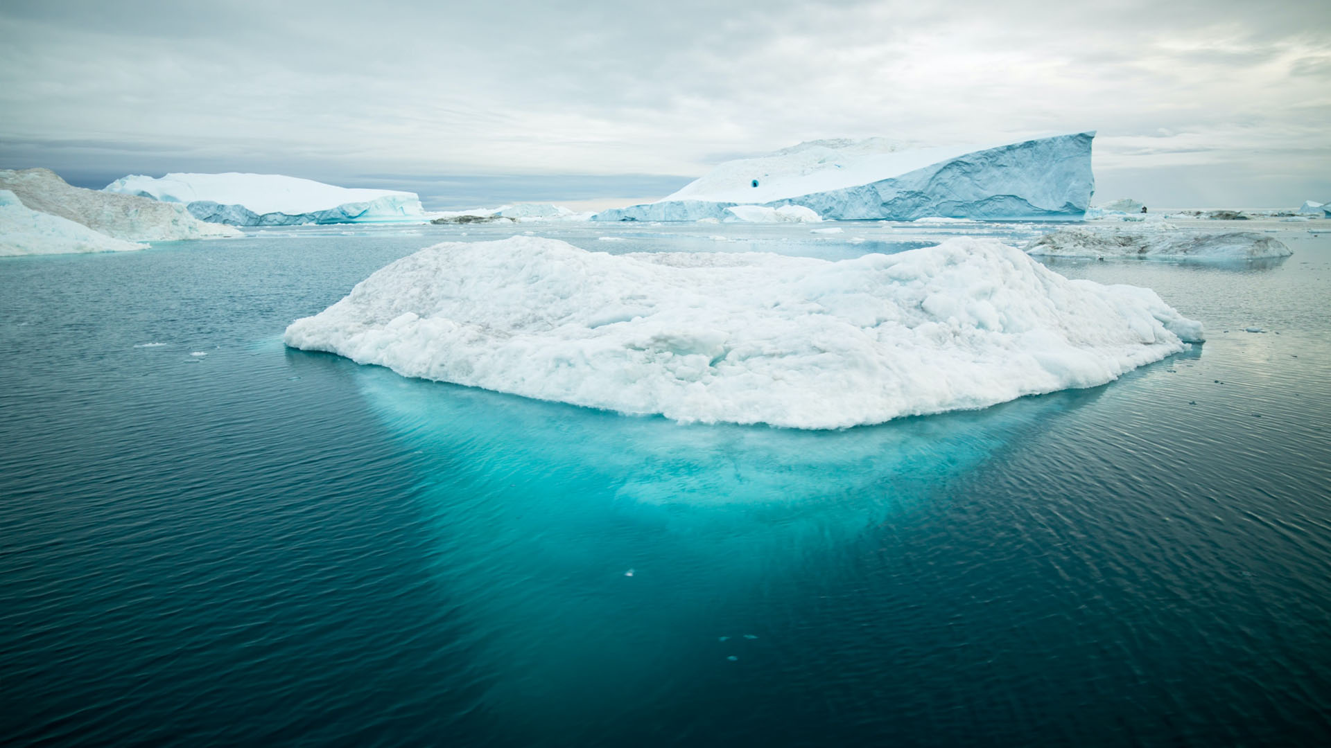 Arctic Basecamp / FREEZE: Climate Data Explorer