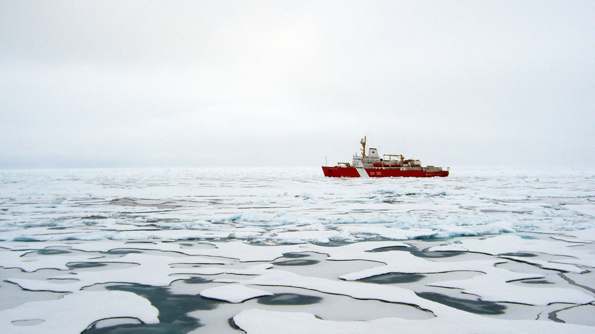 Polar Code Service to optimize marine navigation in the Arctic Antarctic waters